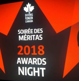 50710670_2187217711339414_7080400041545826304_n